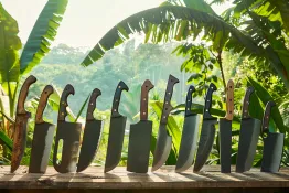 Diferentes tipos de machetes y sus aplicaciones especificas en agricultura