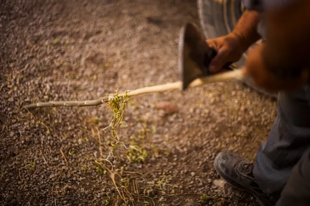 Historia del Machete Origenes y Evolucion en la Agricultura Mundial