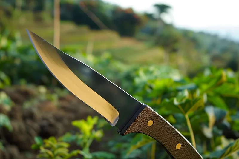 Innovacion Agricola Nuevos Disenos de Machetes para el Siglo XXI