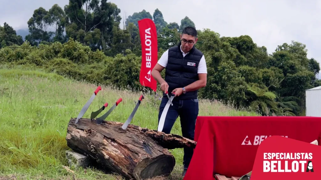 ¿Cuando Utilizar un Servicio Profesional de Afilado para tu Machete