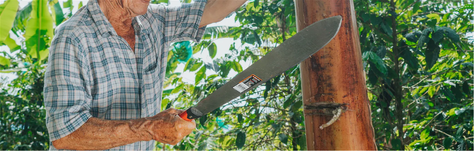 antes de la mecanización, el machete símbolo del trabajo de campo