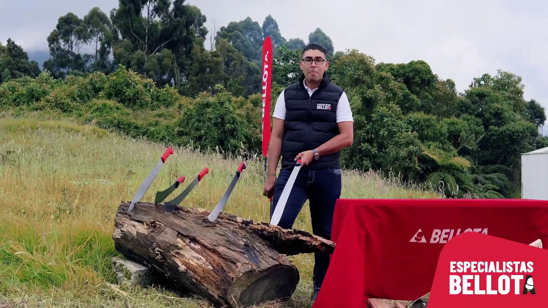 control de calidad en afilado, cómo testear la efectividad de tu machete en la agricultura