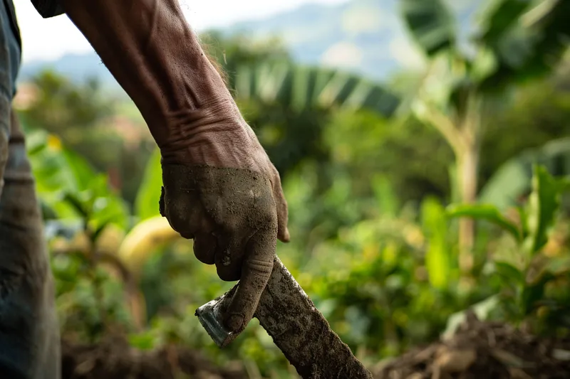 La importancia del Balance y Peso del Machete en Tareas Agricolas